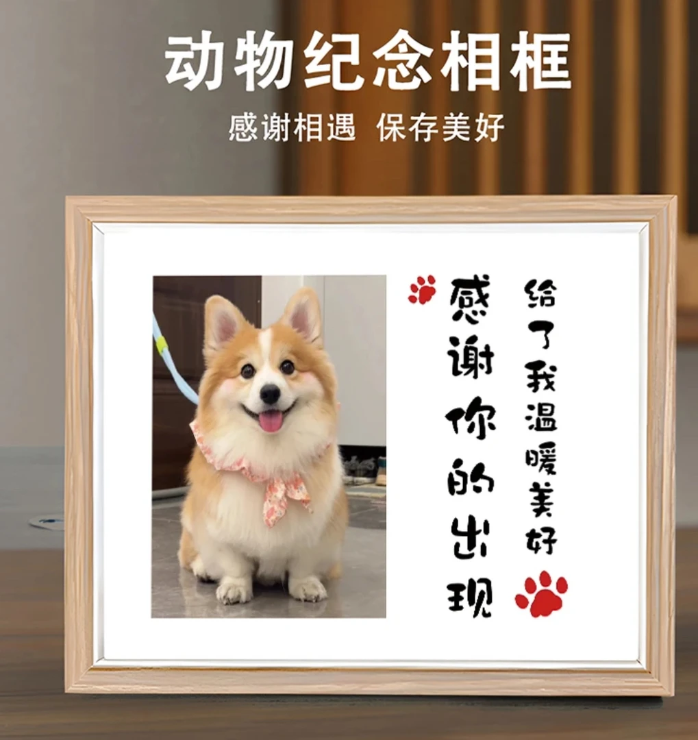 宠物相册定制链接