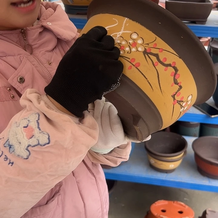 黄富贵点彩大花盆花盆