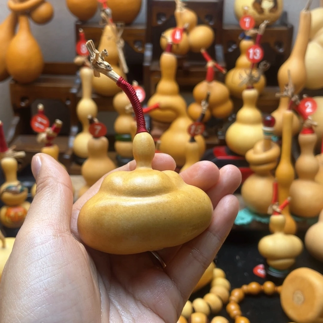 C*Y大自然的秘密第十一节你是谁
