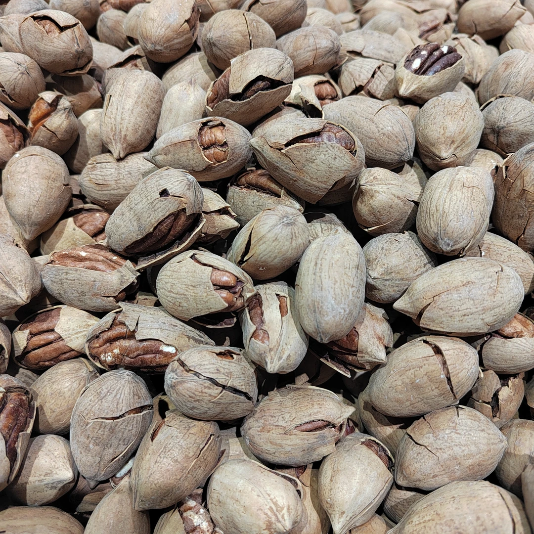 散称碧根果1斤