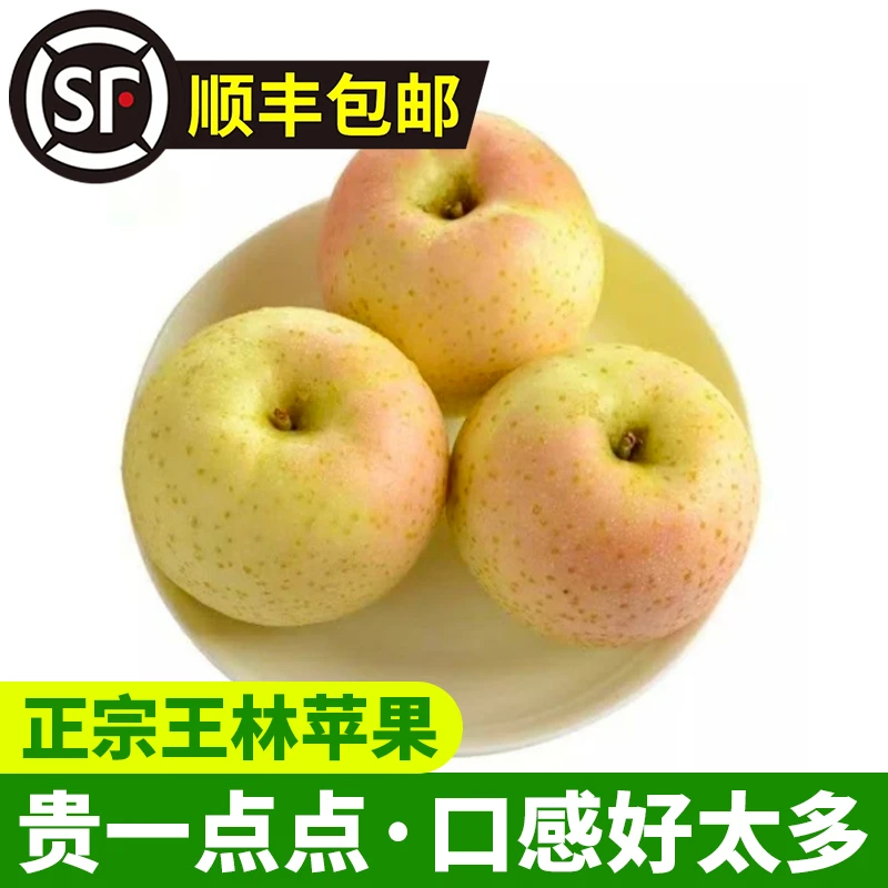 王林苹果山东省