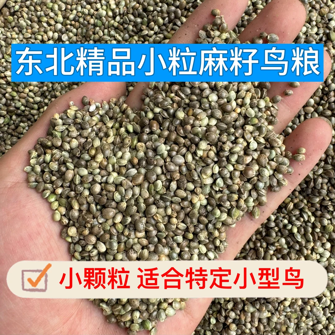 2025新东北小粒麻籽鸟粮鸟食麻子鹦鹉粮鸽粮仓鼠玉鸟芙蓉鸟等包邮