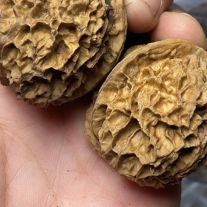 把件文玩核桃志成云铁文玩42