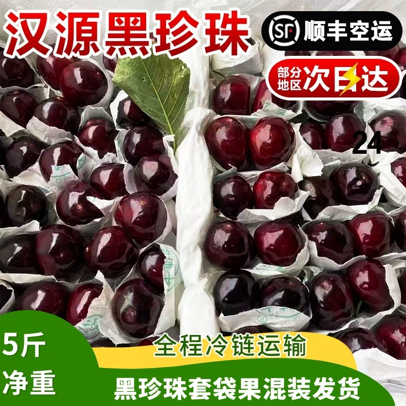 送礼特大果汉源套袋黑珍珠30-32mm净重3-5斤车厘子樱桃顺丰包邮
