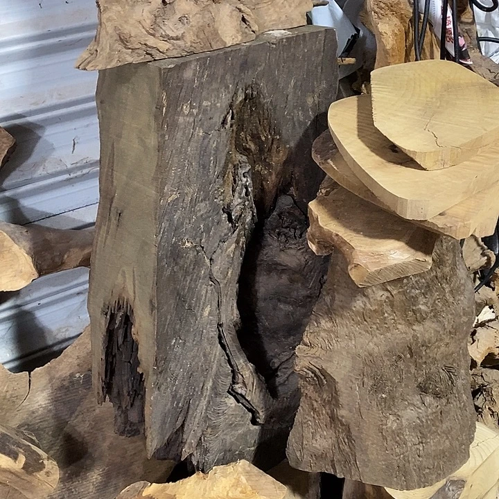 金丝楠木小叶桢楠木