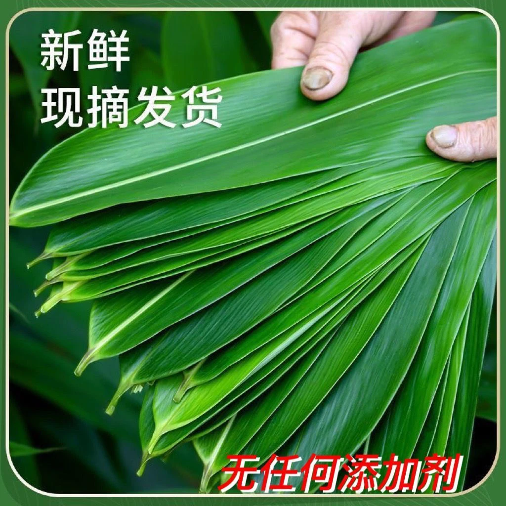 顺丰包邮 湖南特色农产品粽叶子