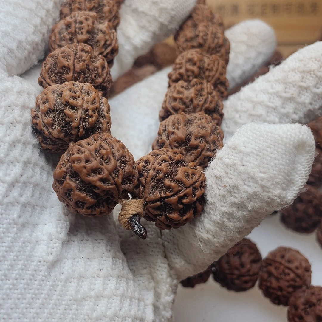 名***要吊坠金刚菩提21尺寸