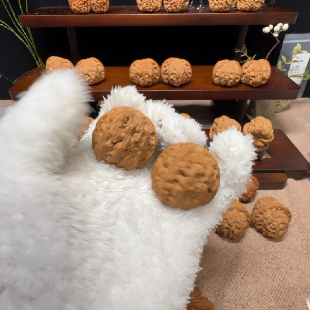 核桃把件全品白狮子39