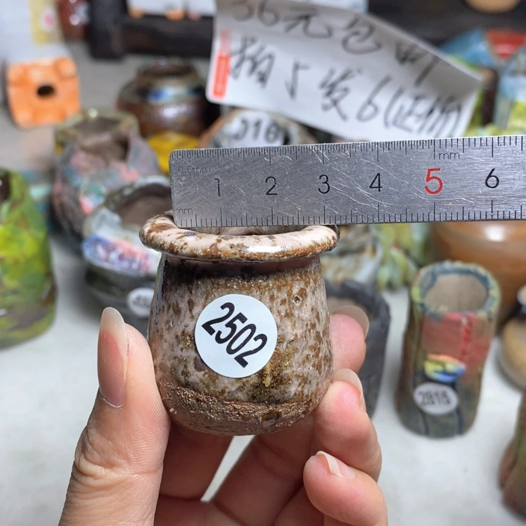 拍5送一个小礼物一