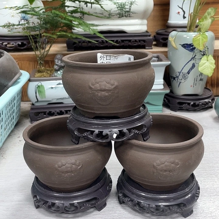 陶瓷花盆抢购福利