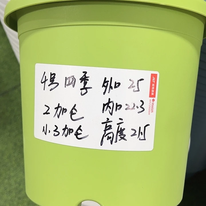 特价4号口25高21果绿8只无托