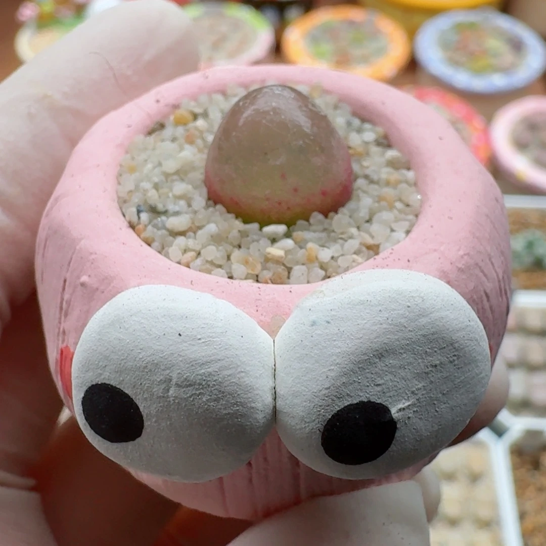 1015-08连盆带花灯泡