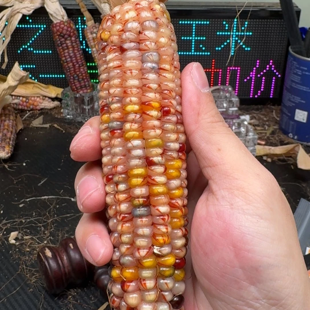 柏香籽/百香籽吊坠東*～