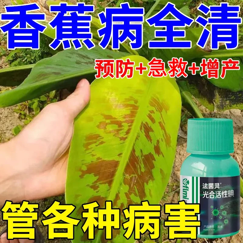香蕉专用叶面肥料叶斑病蕉瘟束顶黄叶病毒病叶斑心腐枯萎病炭疽病