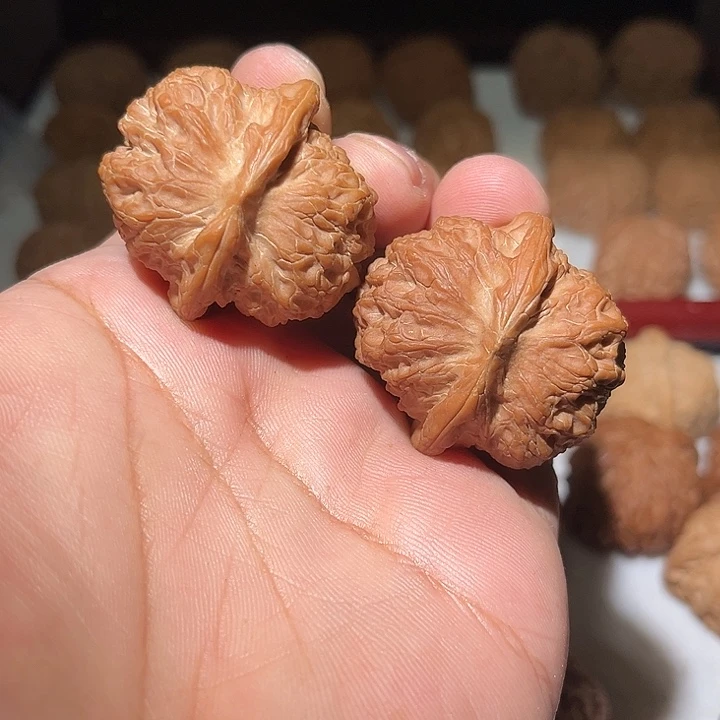 木40全品原桩血麒麟。