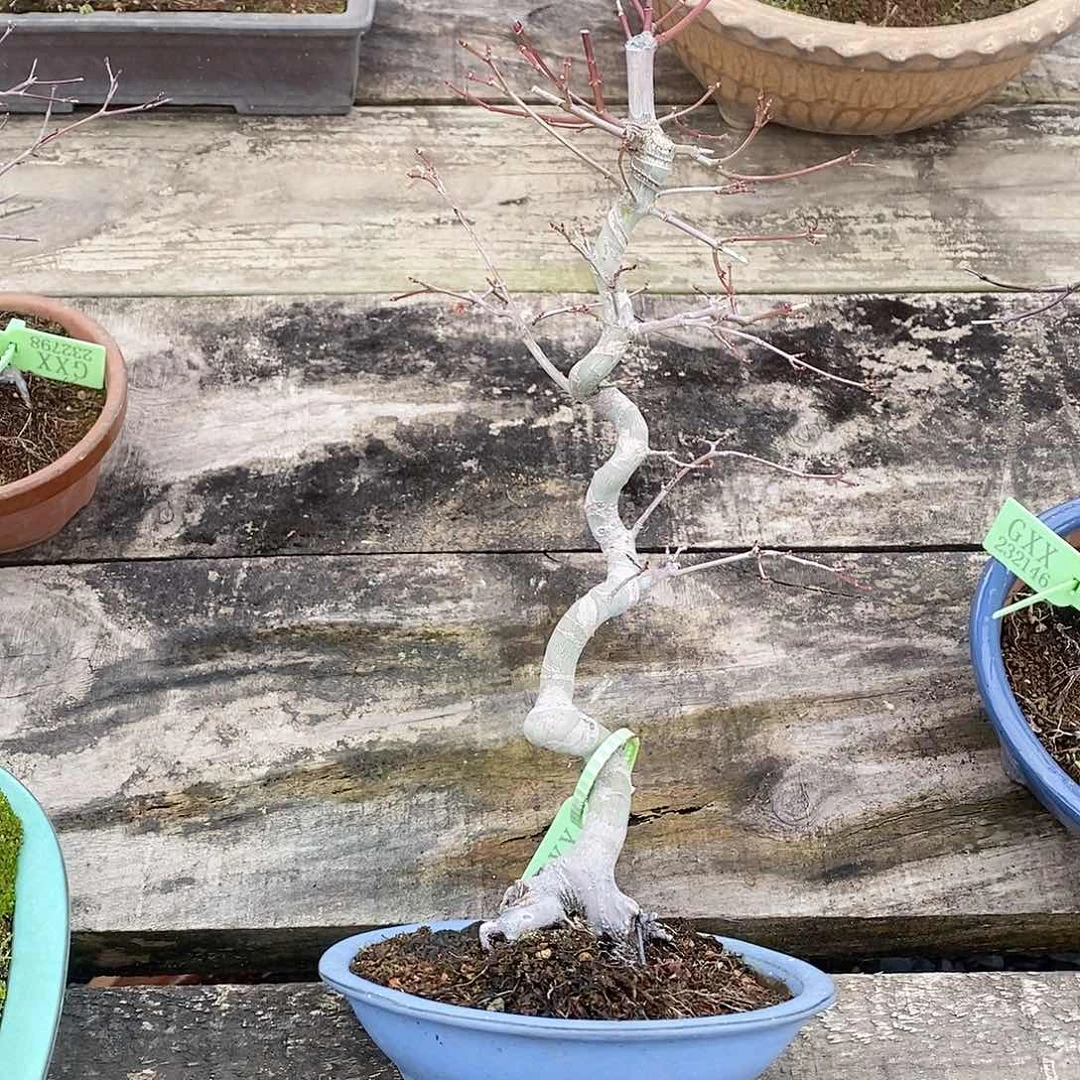 无铅玻璃暇*居232786