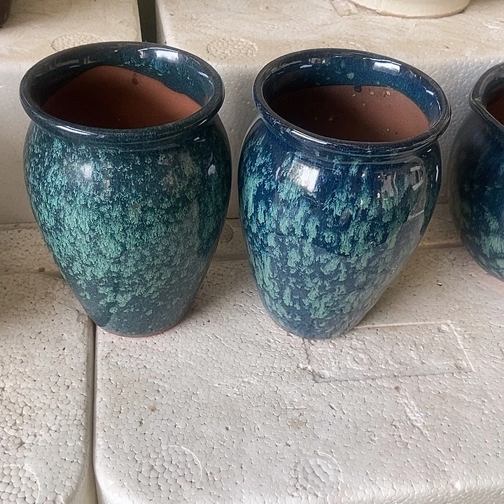 红糖12。。。。。19。。。。。。。