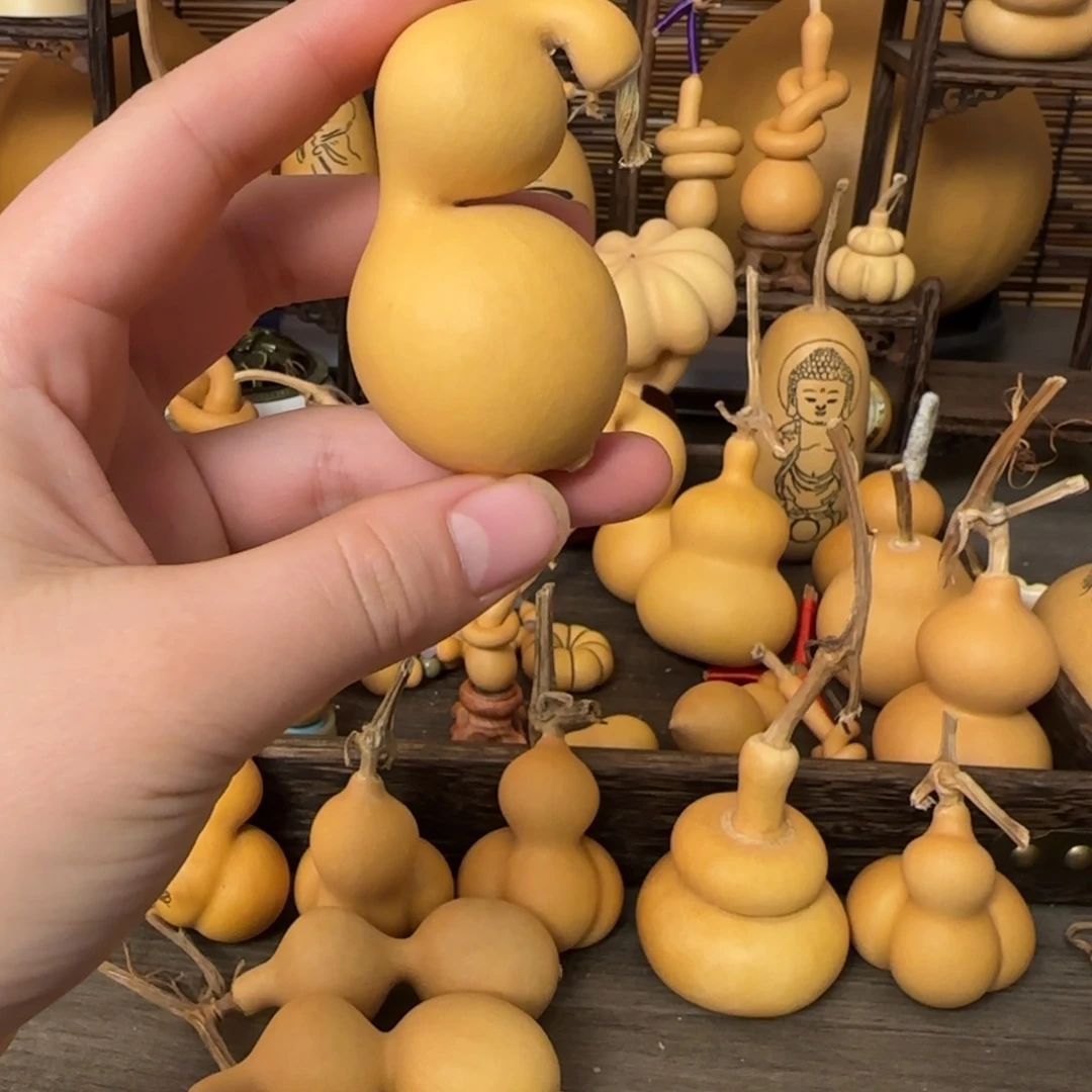 .君宝葫芦 一物一拍