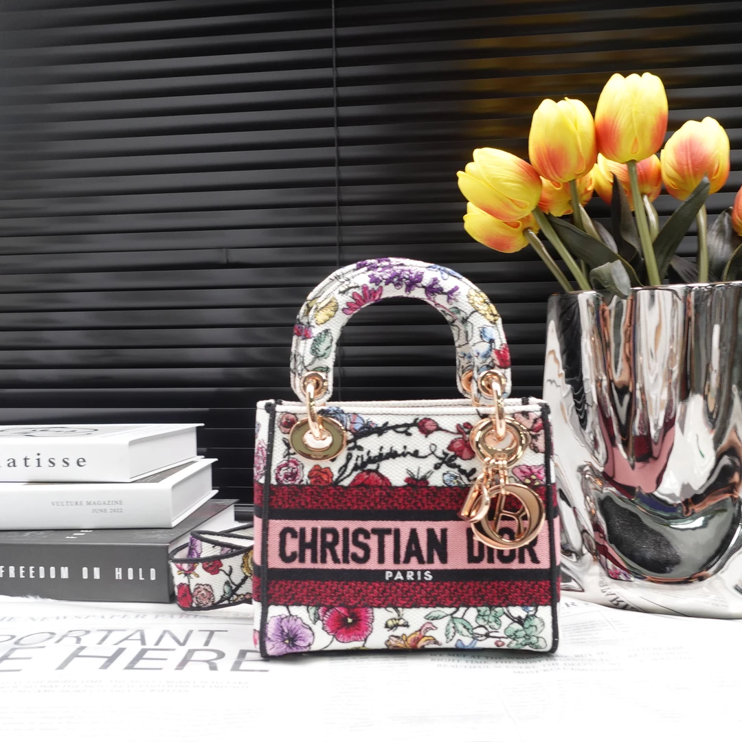 95新 DIOR/迪奥 单肩包/T10267057