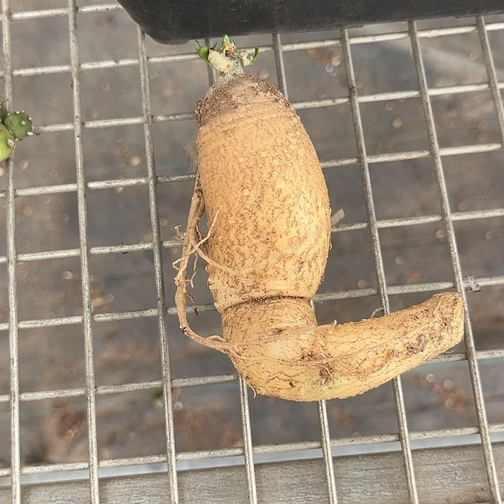 天***勤我也不知道我为什么要