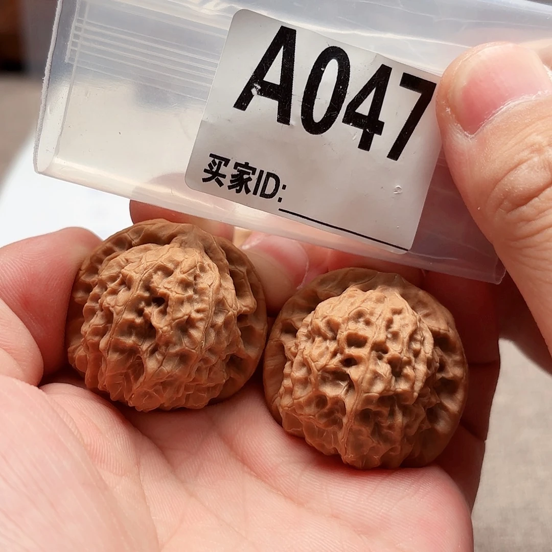 把件文玩核桃36鱼灵纹马蹄A047