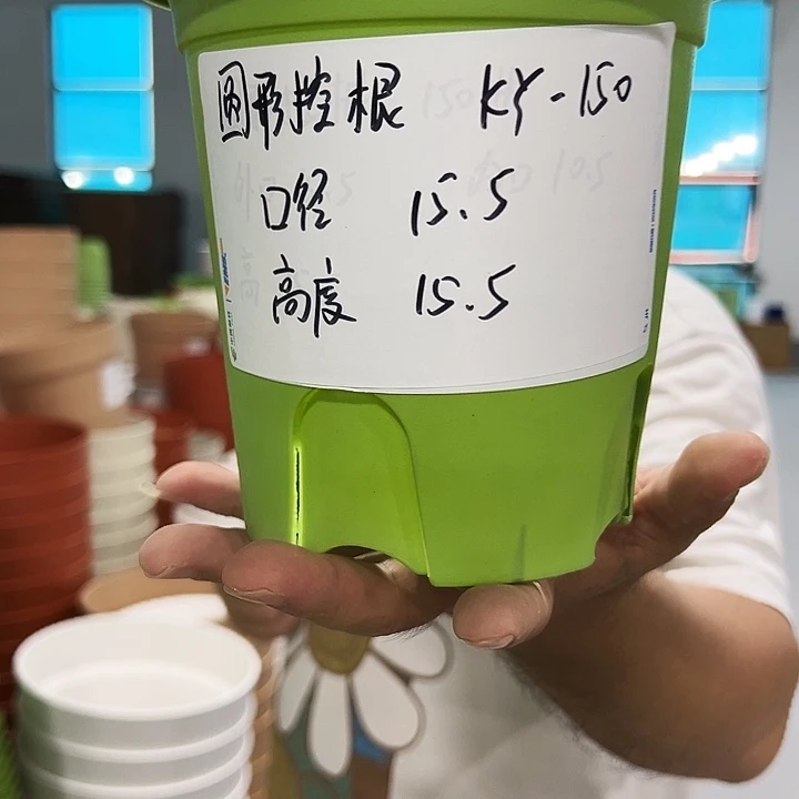 正品圆控口15高15混色10个无托