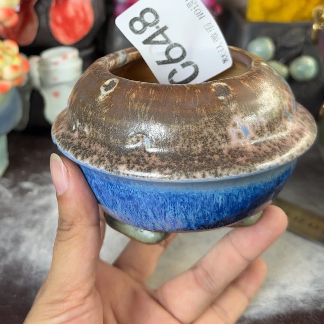 重庆小燕子欢迎那家648