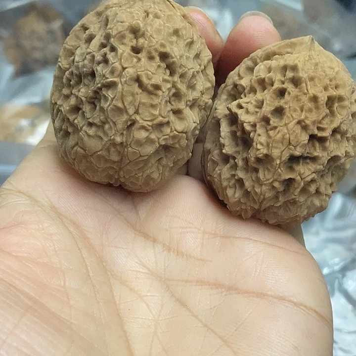 木质类云南铁核桃基地43