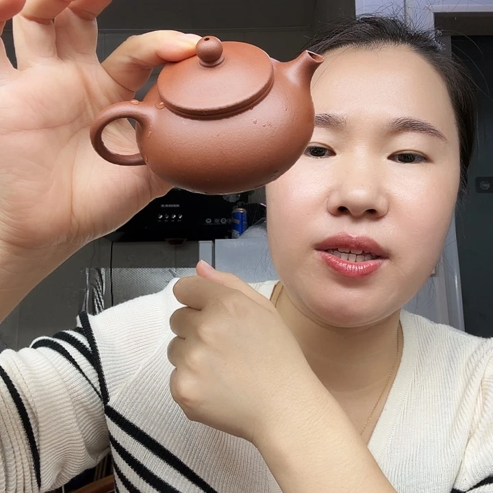 茶壶紫砂原矿半手工降坡寒江150cc