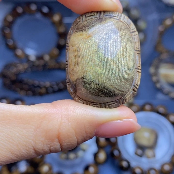 香榧木闲****情金珊瑚富甲