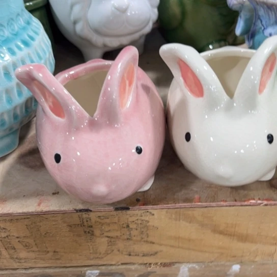 满9元包邮，口径问客服，水培在3号链接