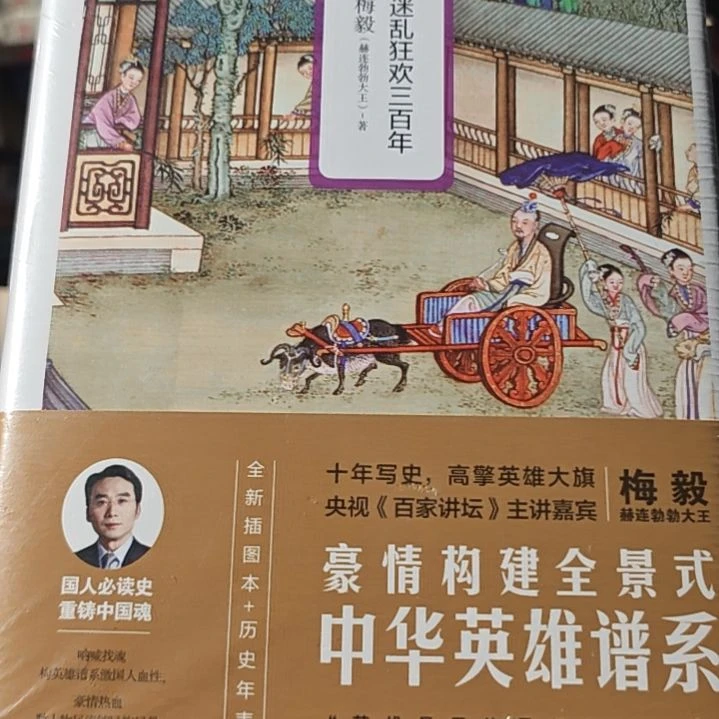 两晋南北朝精装塑封梅毅