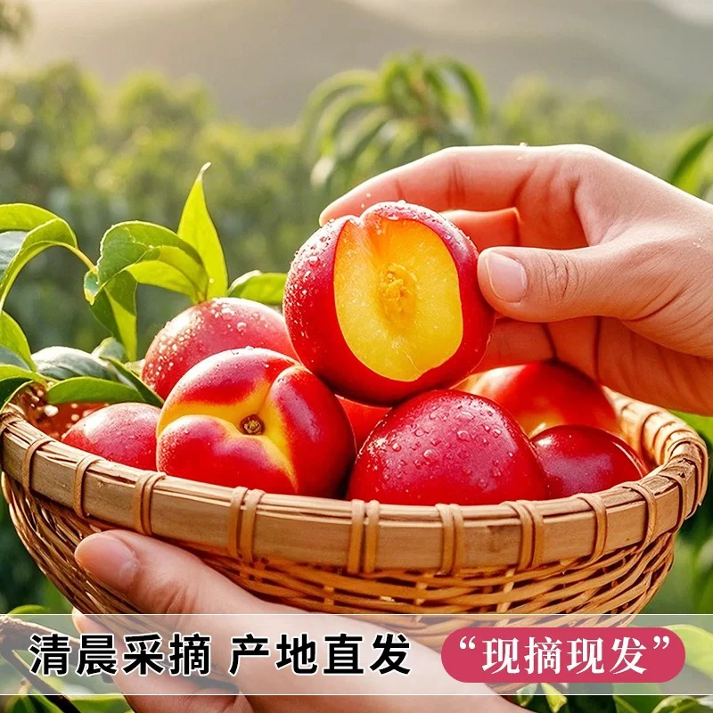 湖北黄肉油桃新鲜水果脆桃当季香甜多汁产地现摘