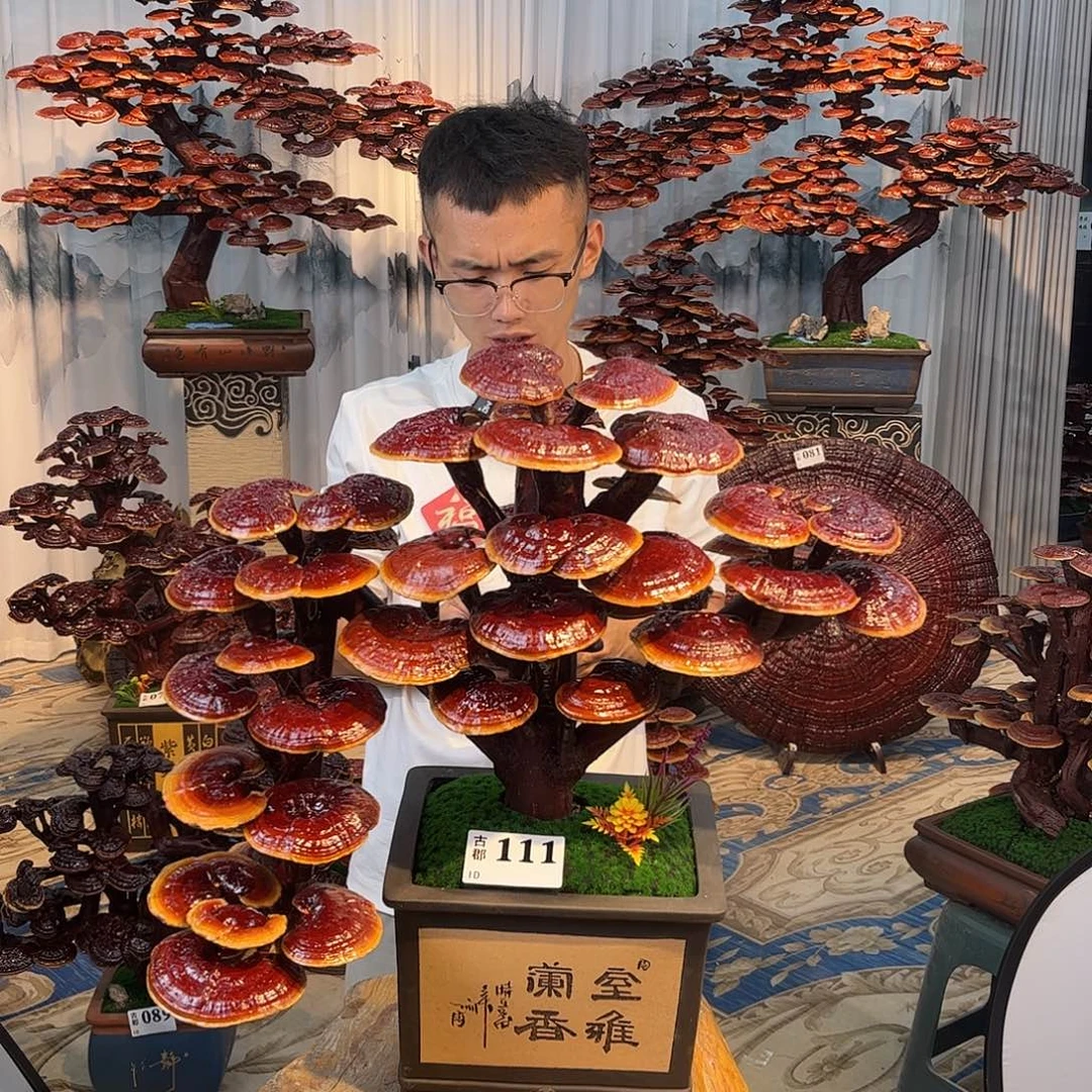 无花朵88888888888