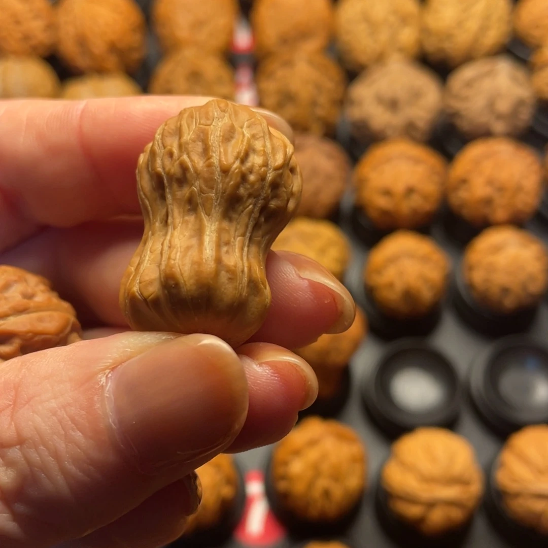 舜****把件文玩核桃核桃