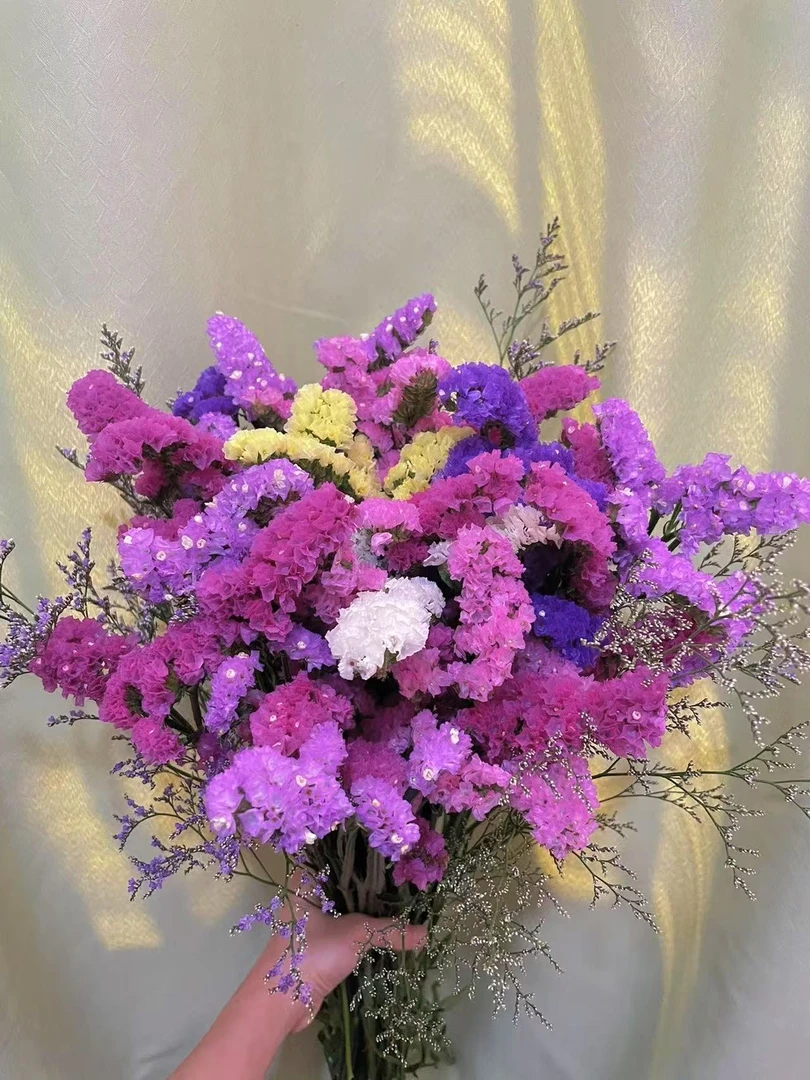 云南直发勿忘我干花花束鲜花真花客厅装饰插花礼物满天星腊梅婚庆