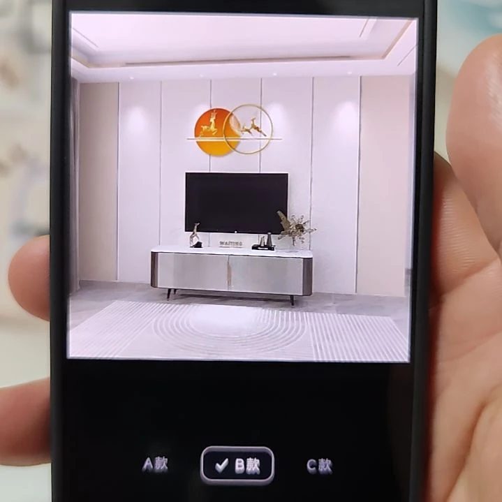 珍***有客厅电视墙壁画壁布