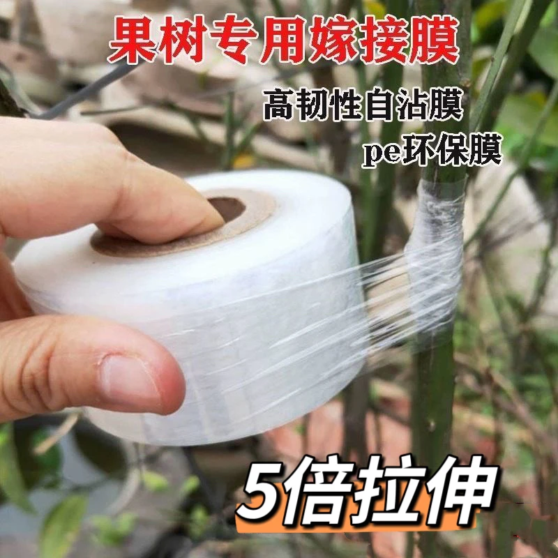 专业PE嫁接膜果树苗木缠绕自粘薄膜高韧性农用包扎膜