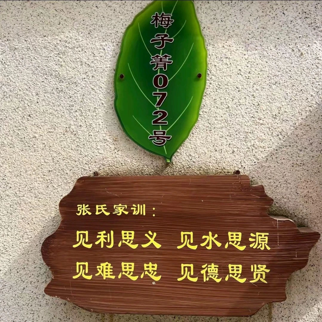 2025年梅子箐.混装散茶普洱生茶5款