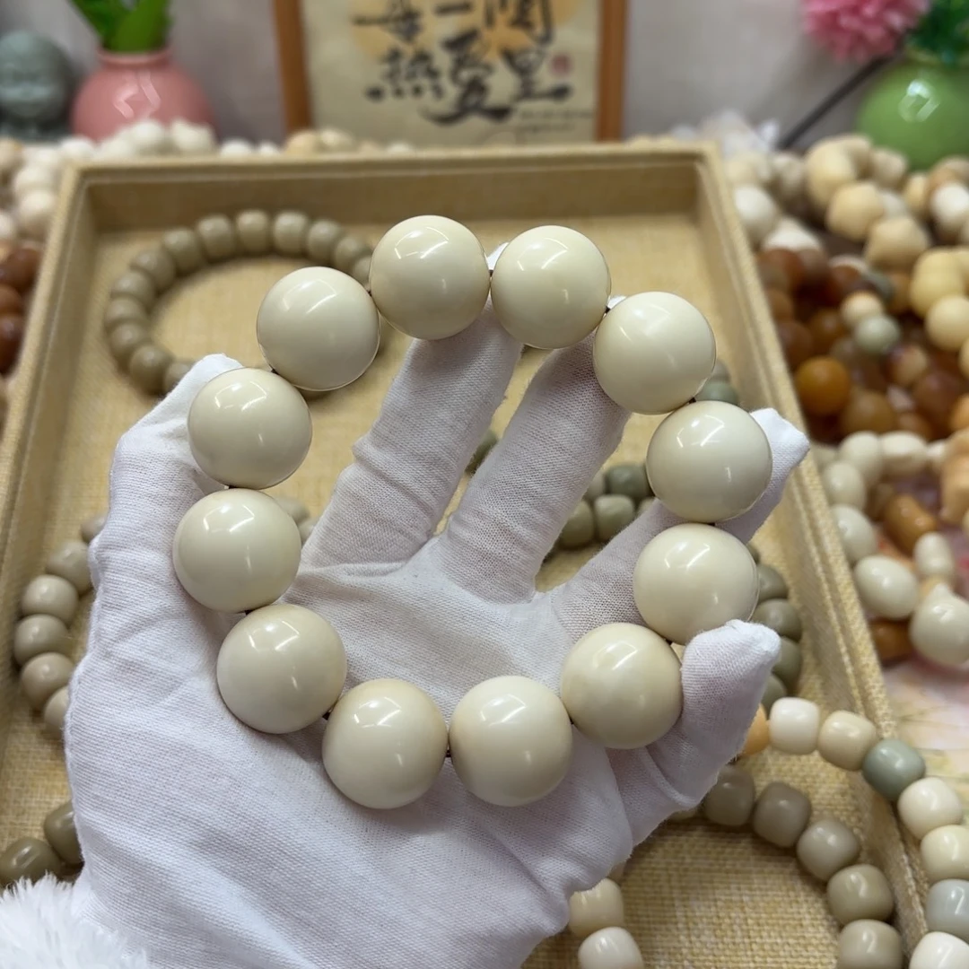 吊坠菩提根/象牙果22干磨瑕疵牙果圆珠739