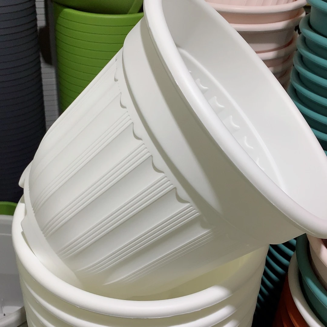 树脂罗马口32白3个无托