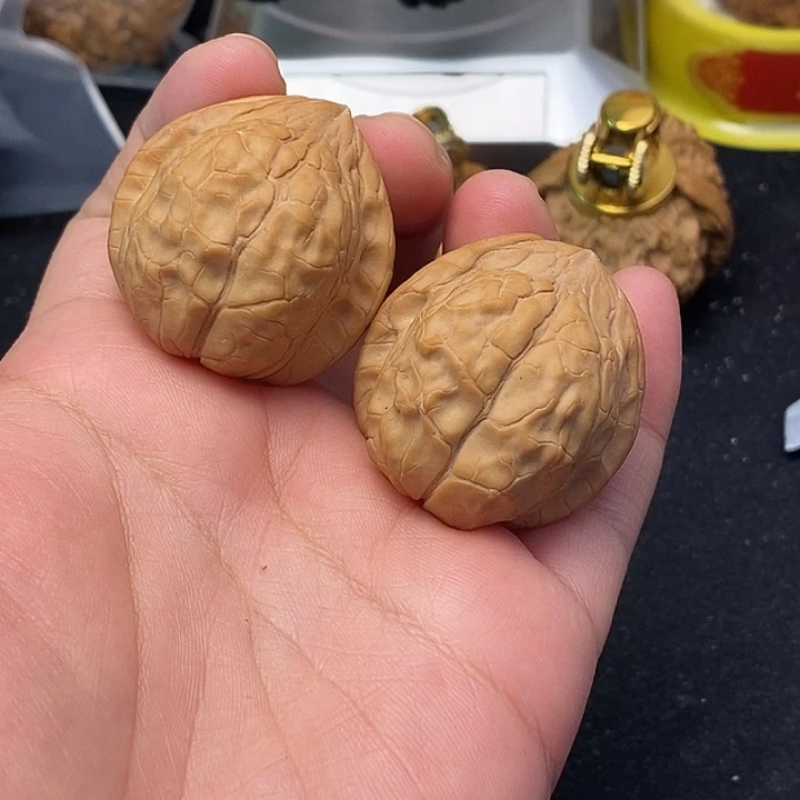 吊坠龙脊菩提龟甲纹