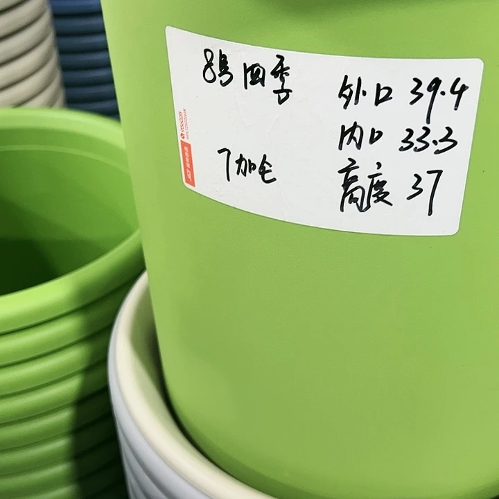 特价8号四季口39.4高37果绿色5个无托