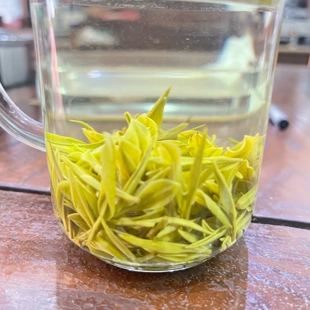 2025年安吉昆铜明前白茶
