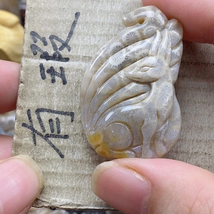 颈饰未镶嵌硅化珊瑚（珊瑚玉）用****1