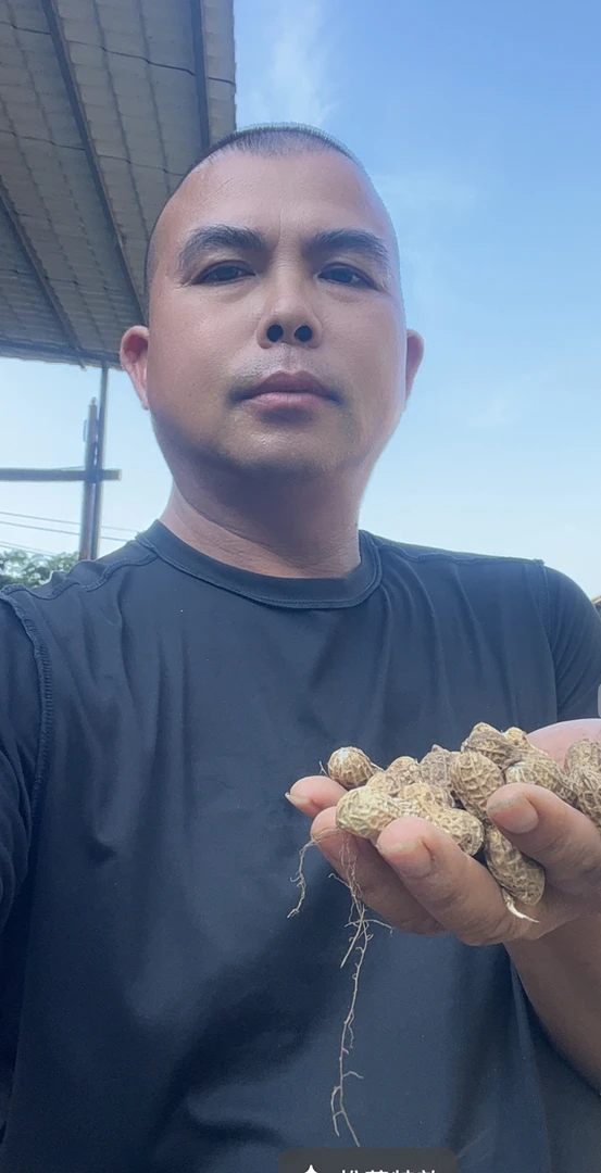 广西桂林农家带壳新鲜生花生