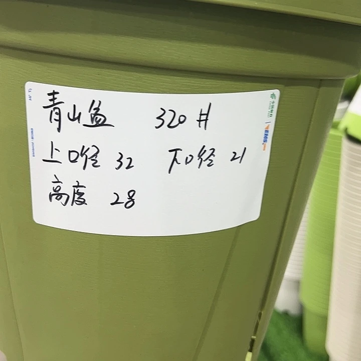 青山盆口32高28果绿色无托5只