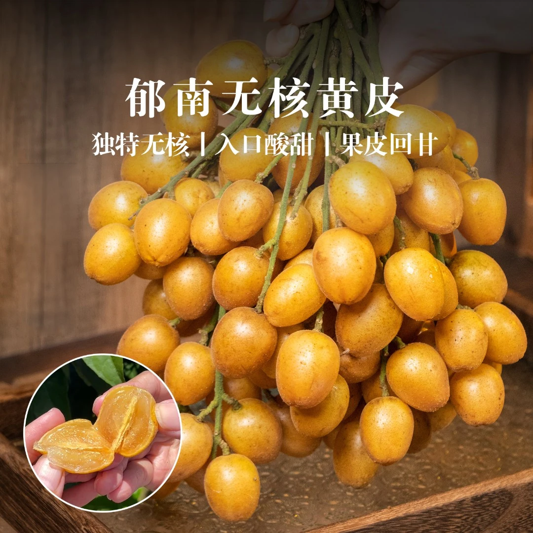新鲜郁南无核黄皮果(中大果)当季时令酸甜果皮回甘(只发广东省内)