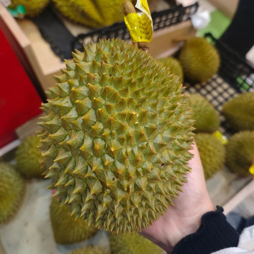 金枕巴掌榴莲2-4斤新鲜榴莲核小金枕越南