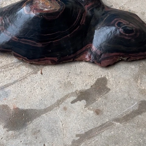 1****9家居装修效果图